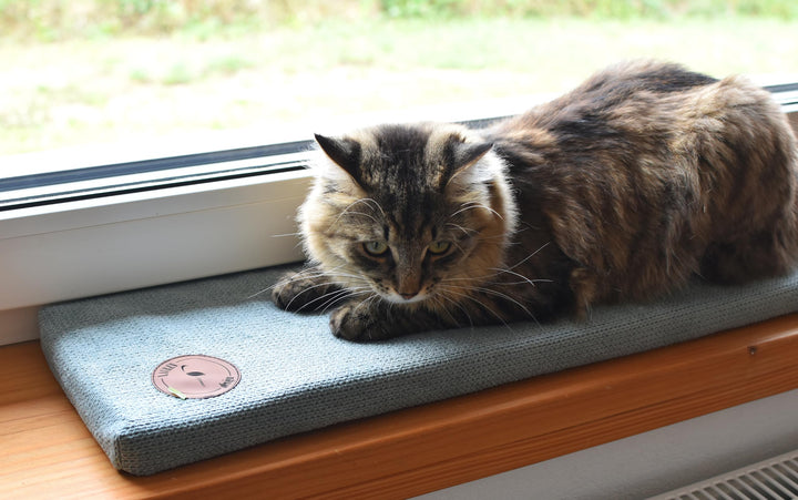 Prime Katzen Fensterliege Für Katzen, Fensterbank mit Einer Rutschfesten Rückseite, Katzenbett Fenst