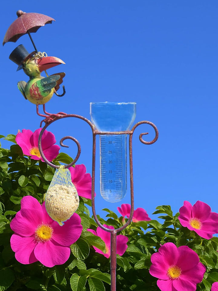 Pommerntraum ®| Regenmesser Niederschlagsmesser Gartendeko Gartenkunst Rabe | Pluviometer Ombrometer
