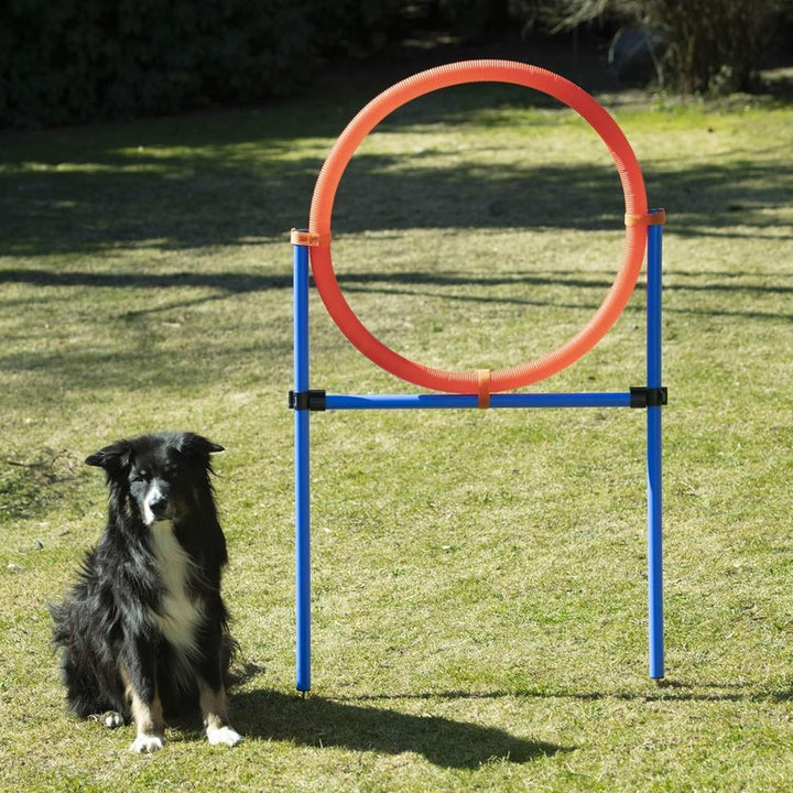 NATIV grosser Sprungring für Hunde, Durchmesser 70cm, höhenverstellbar, mit Tragetasche