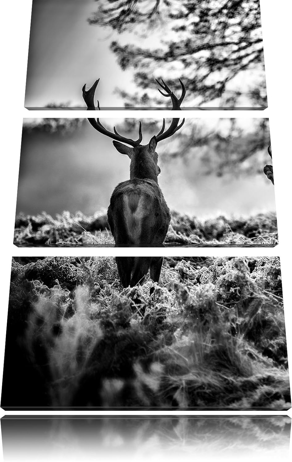 Pixxprint Monocrome, Hirsch Rivalen kämpfen 3-Teiler Leinwandbild 120x80 Bild auf Leinwand
