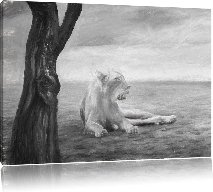 Pixxprint Löwin Ruhe Savanne Kunst als Leinwandbild/Grösse: 100x70 cm/Wandbild/Kunstdruck/fertig bes