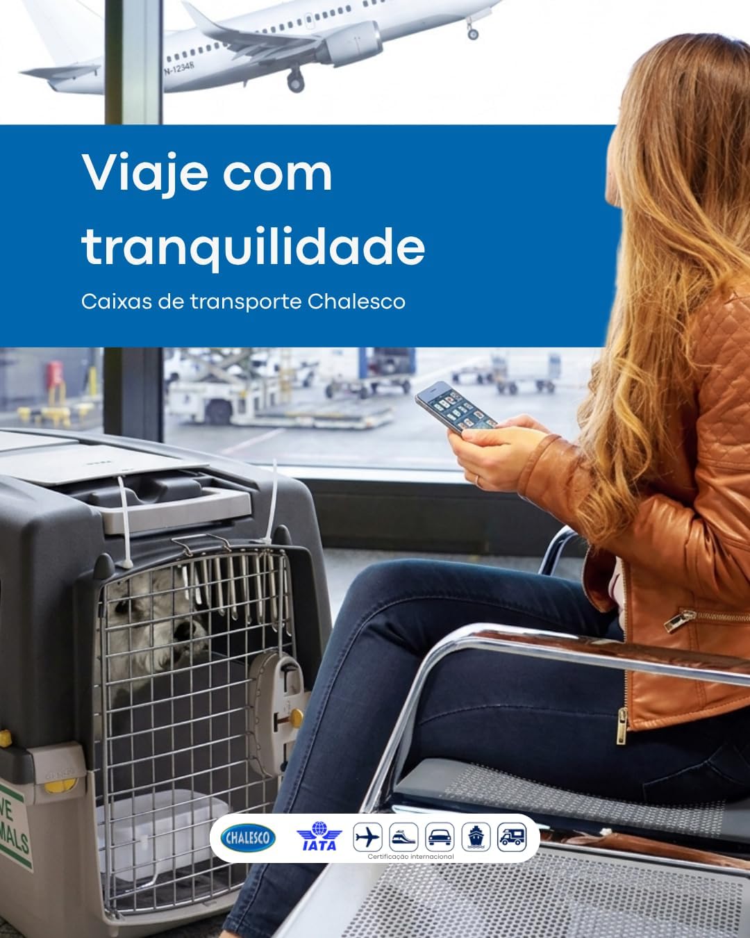 Transportbox GULLIVER 4 IATA 71 x 51 x 50 cm L 72 x B 52 x H 51 cm, L 72 x B 52 x H 51 cm