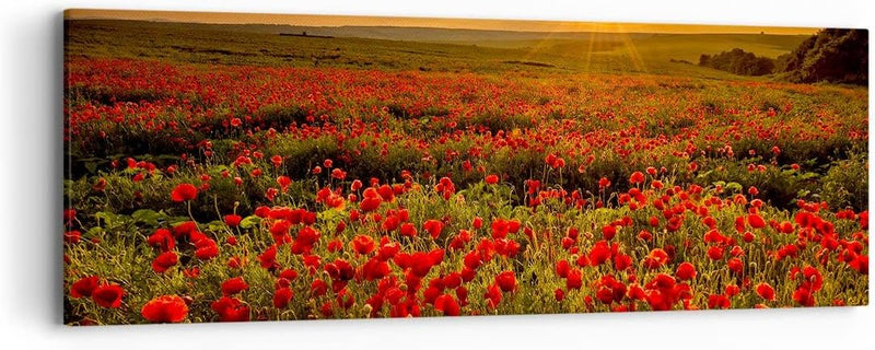 Panorama Bilder auf Leinwand Mohn Blume Wiese Leinwandbild mit Rahmen 90x30cm Wandbilder Dekoration