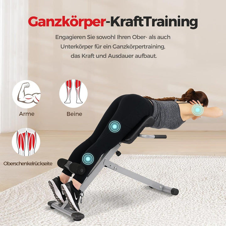 Sunny Health &amp; Fitness Klappbare Hyperextension-Roman Chair mit Rückenstrecker – Bauchtrainer &amp; Sit-