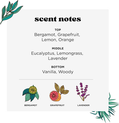 Poo-Pourri Toiletten-Spray Lavender Vanilla Scent 118 ml (1er Pack), Lavender Vanilla Scent 118 ml (