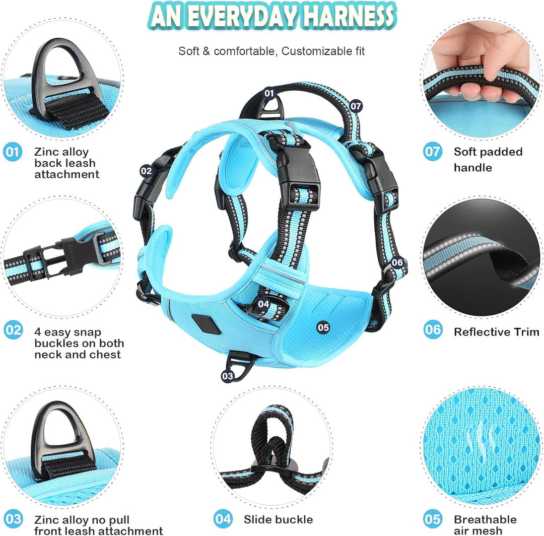 No-Pull Hundegeschirr, Brustgeschirr für kleine bis mittelgrosse Hunde, Weich, Atmungsaktiv, Einstel