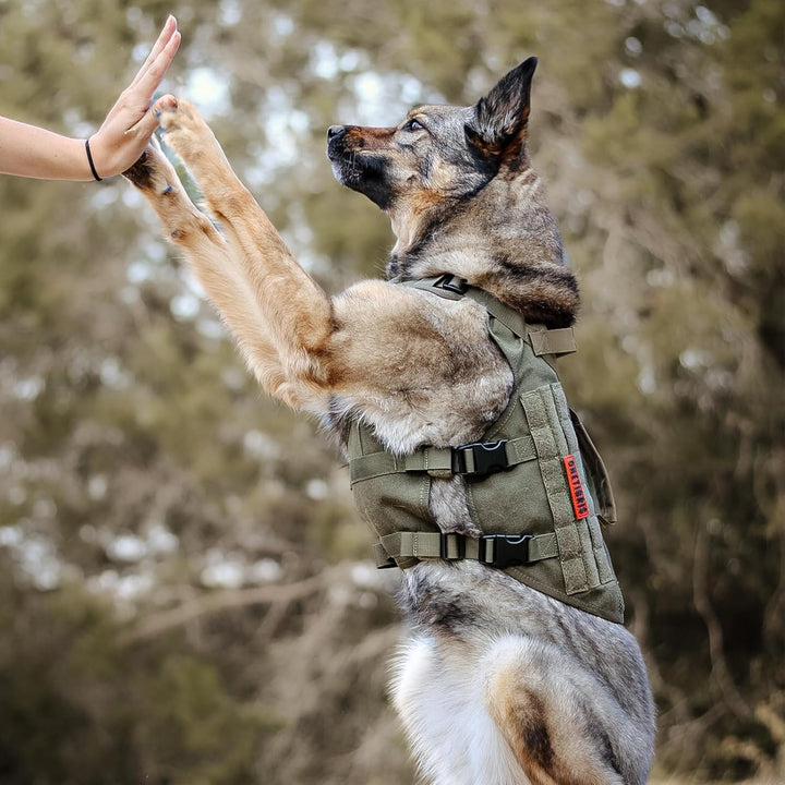 OneTigris No-Pull Hundegeschirr, AIRE MESH Einstellbar Sicherheitsgeschirr Ultra Atmungsaktiv für Gr