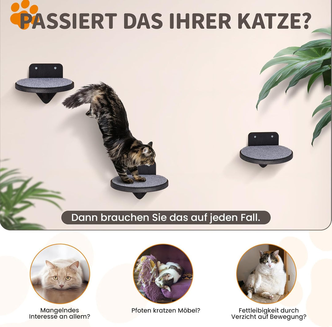 XL Premium Kletterwand Katzen aus Birkenholz | 3er-Set Katzentreppen mit Kratzflächen | Wandmontage