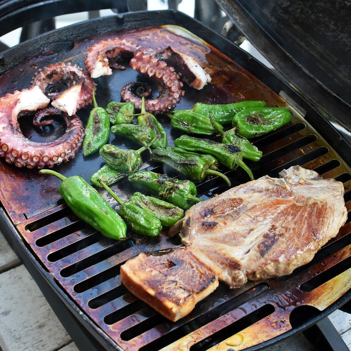 Grillrost.com Das Original Edelstahl Grillplatte | Plancha passend für Weber Q300/3000 - ersetzt ein