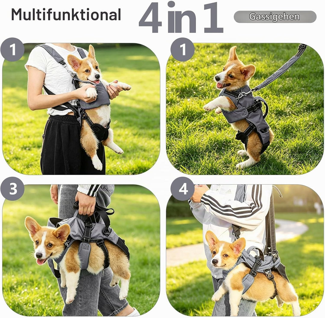 PETCUTE Haustier Rucksack Hundetragetasche,Verstellbare Brust Hunderucksack für Klein Hunde Katzen,T