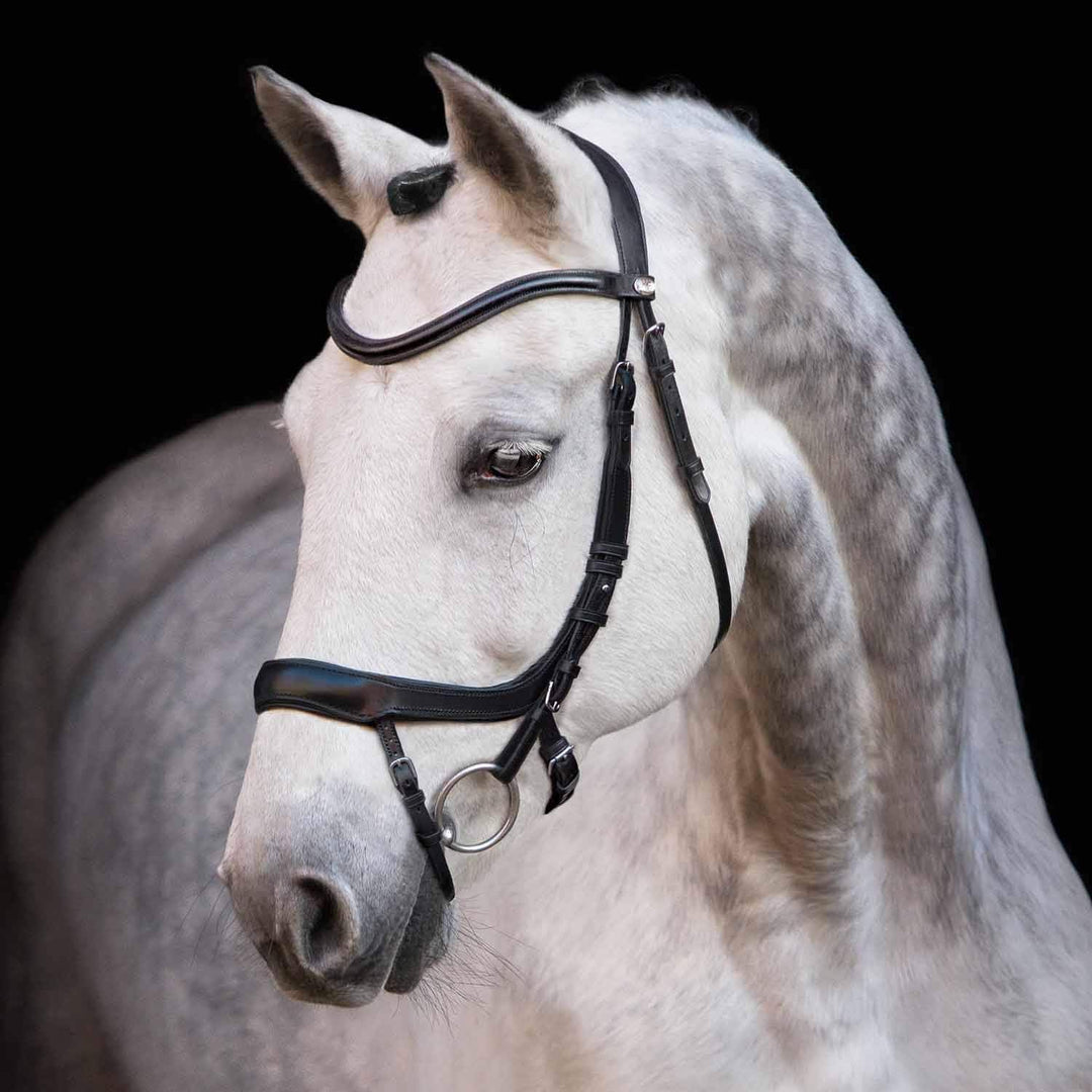 Schockemöhle Equitus Alpha Anatomic Special Snaffle Bridle Schwarz Cob, Schwarz Cob