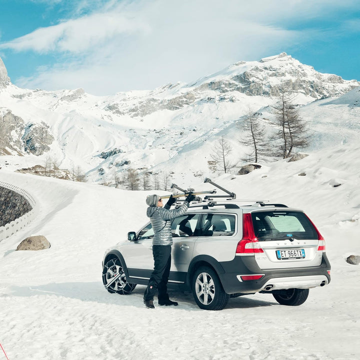 Thule Skihalter & -träger 732200, Aluminium, S Aluminum 2 Paar Ski Single, Aluminum 2 Paar Ski Singl