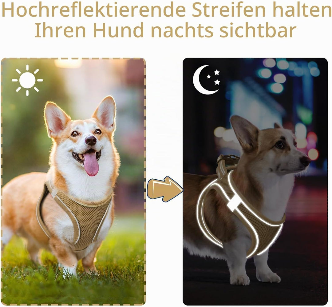 HEELE Hundegeschirr Hunde Kleine Hundegeschirr Anti Zug Atmungsaktiv Brustgeschirr No Pull Sicherhei