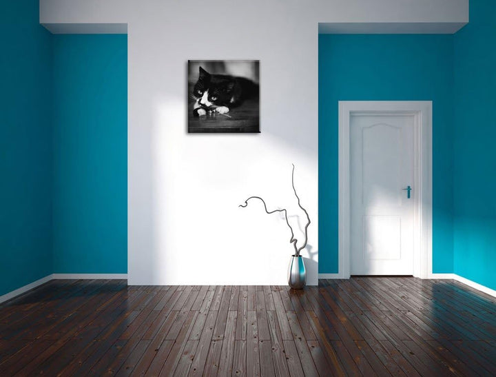 Schwarze Katze spielt mit Ehering, Format: 70x70 auf Leinwand, 70x70