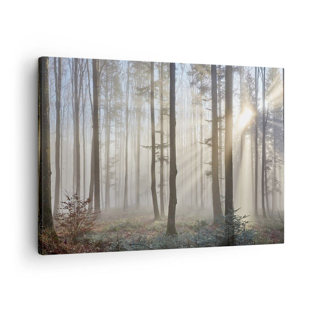 Bilder auf Leinwand Wald Baum Natur Leinwandbild mit Rahmen 70x50cm Wandbilder Dekoration Wohnzimmer