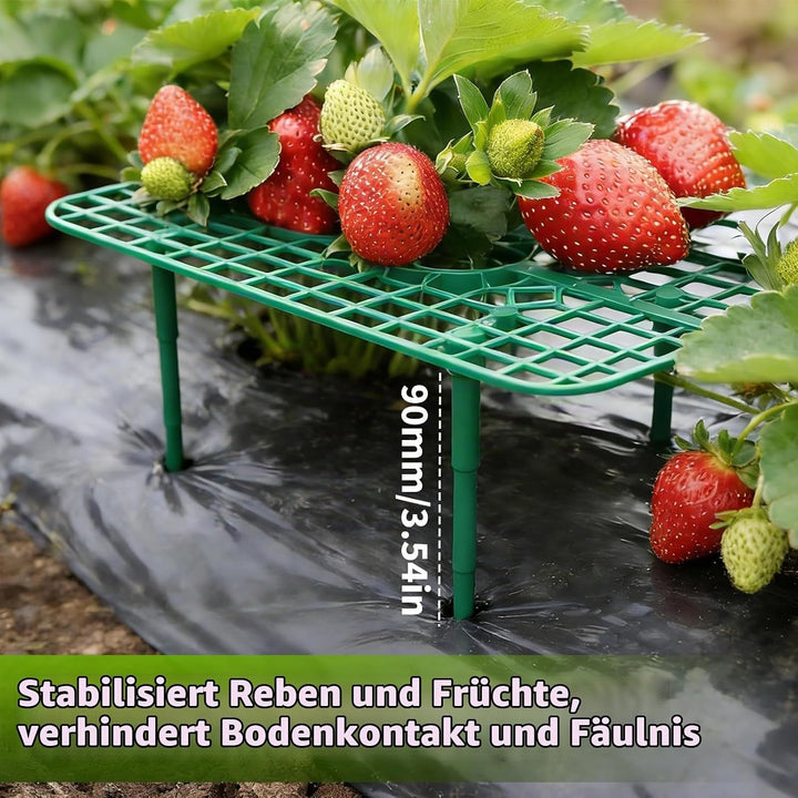 15 Stück Erdbeerstützen ständer, Quadratisch Erdbeerreifer, Abnehmbares Erdbeergitter, Grün