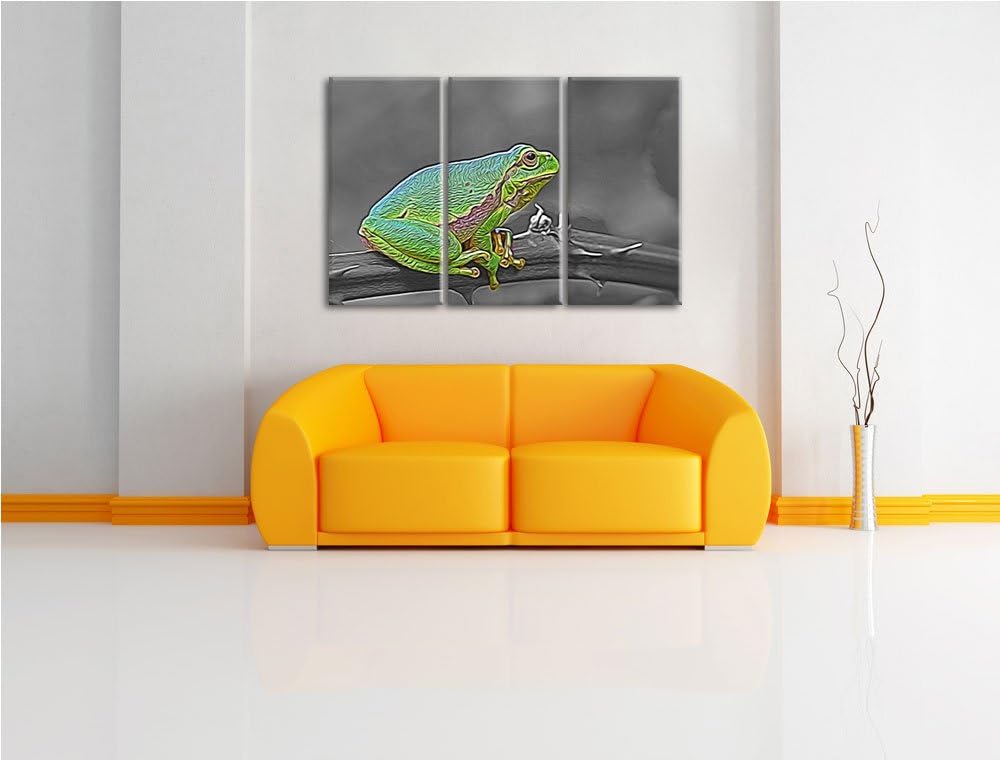 winziger Frosch auf Dornenast schwarz/weiss Spezial 3-Teiler Leinwandbild 120x80 Bild auf Leinwand,
