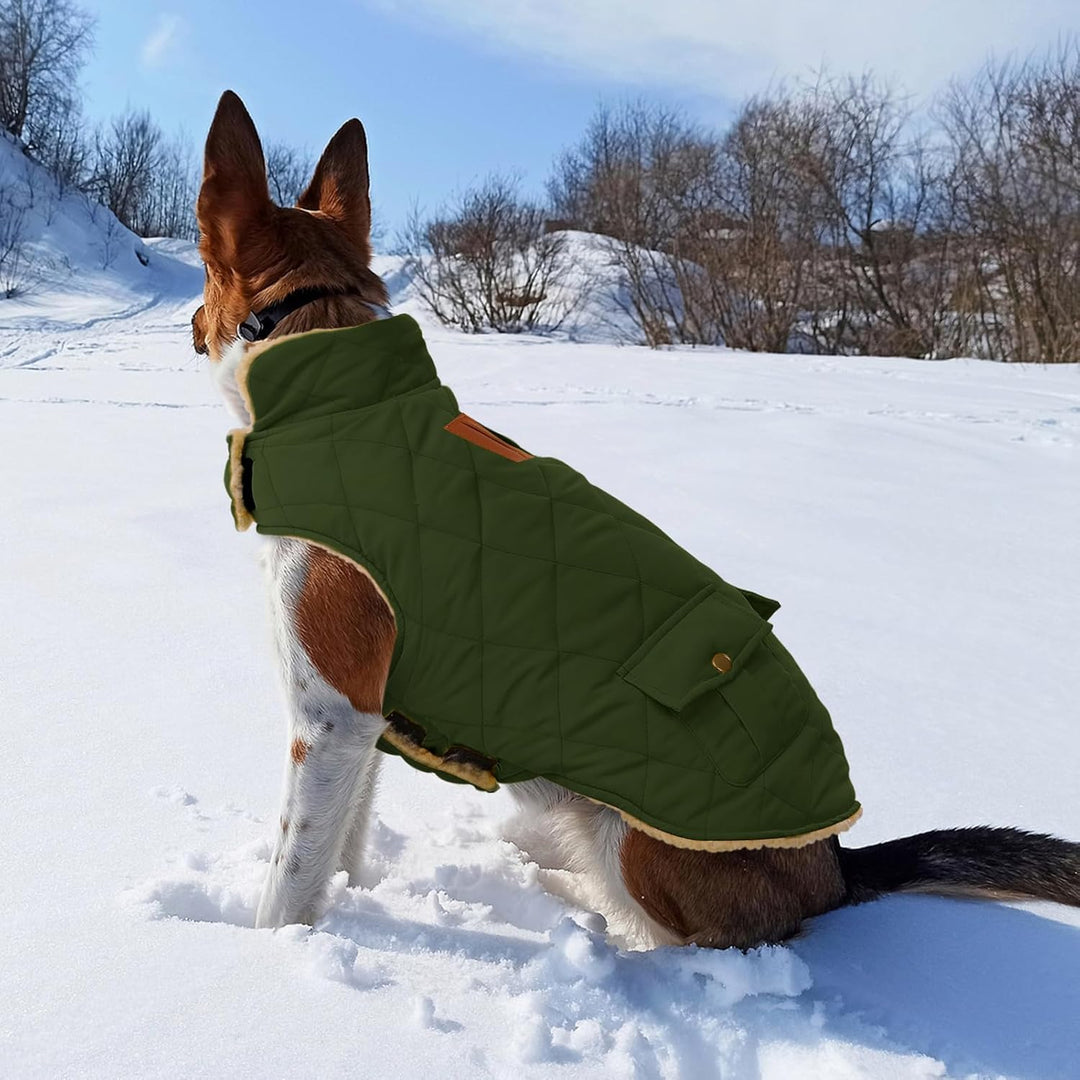 CITÉTOILE Wintermantel Hundemantel, Warme Winterjacken mit Fleece für Hunde,Hundejacke Hundekleidung