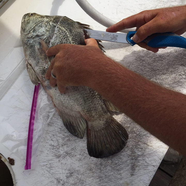 Cuda Filetiermesser, breite Klinge, 17,8 cm, 18090