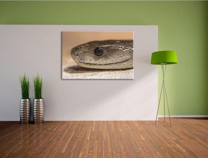 Pixxprint wachsame Natter auf Leinwand, XXL riesige Bilder fertig gerahmt mit Keilrahmen, Kunstdruck