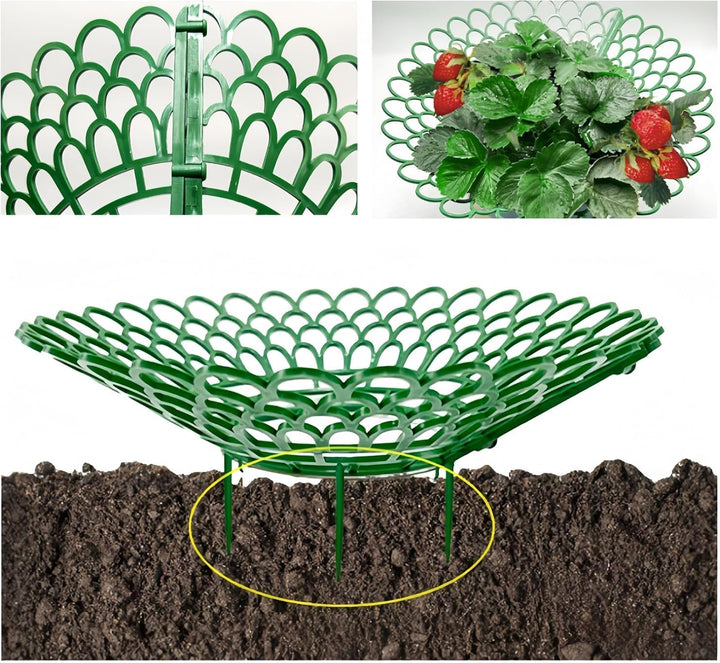 Erdbeerstützen Ständer, 10 Stück Erdbeerreifer &amp; Fruchtreifer erdbeeren, Erdbeerregal, Abnehmbares P