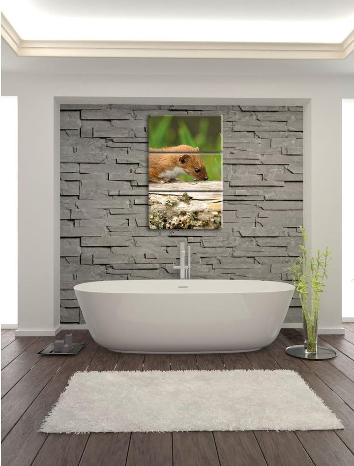 Pixxprint Fretchen auf Baumstamm 3-Teiler Leinwandbild 120x80 Bild auf Leinwand