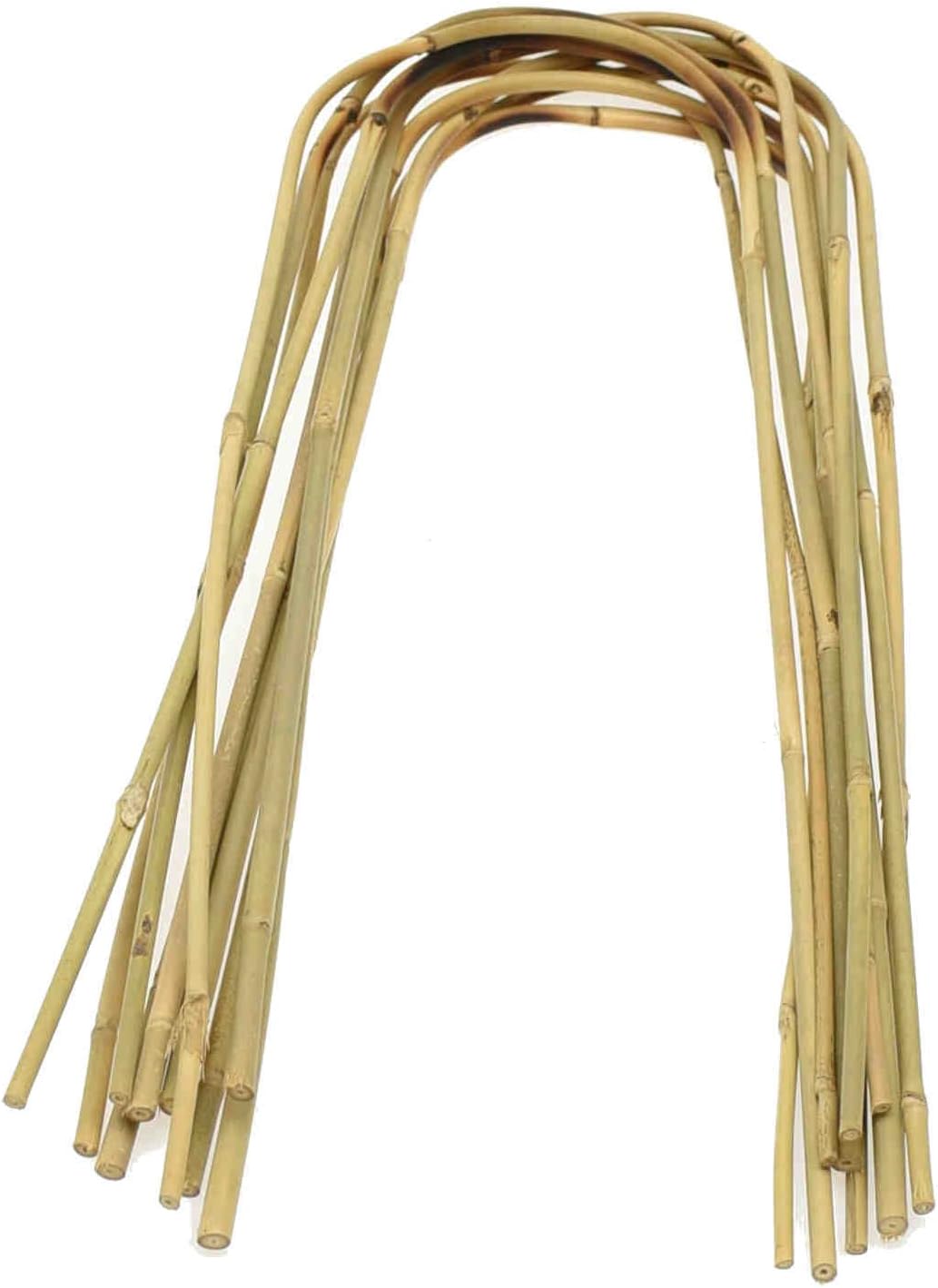 DIXIE STORE Gebogener Bambus Bambusstifte Natürliche - für Pflanzen Dekoratives Element Rankhilfe Cl
