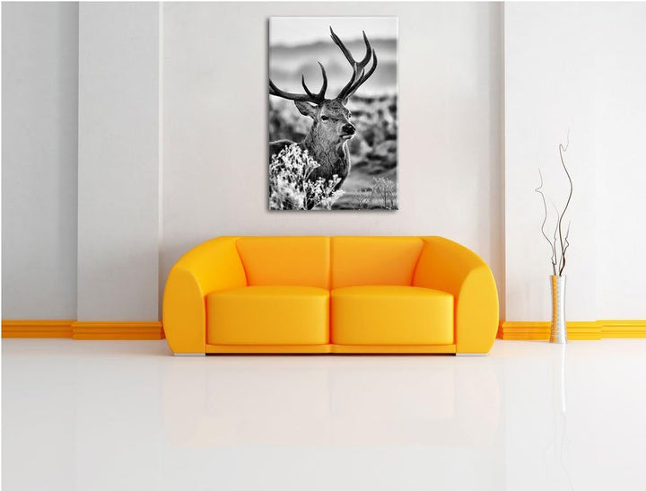 Pixxprint Stolzer Hirsch auf Wiese als Leinwandbild/Grösse: 100x70 cm/Wandbild/Kunstdruck/fertig bes