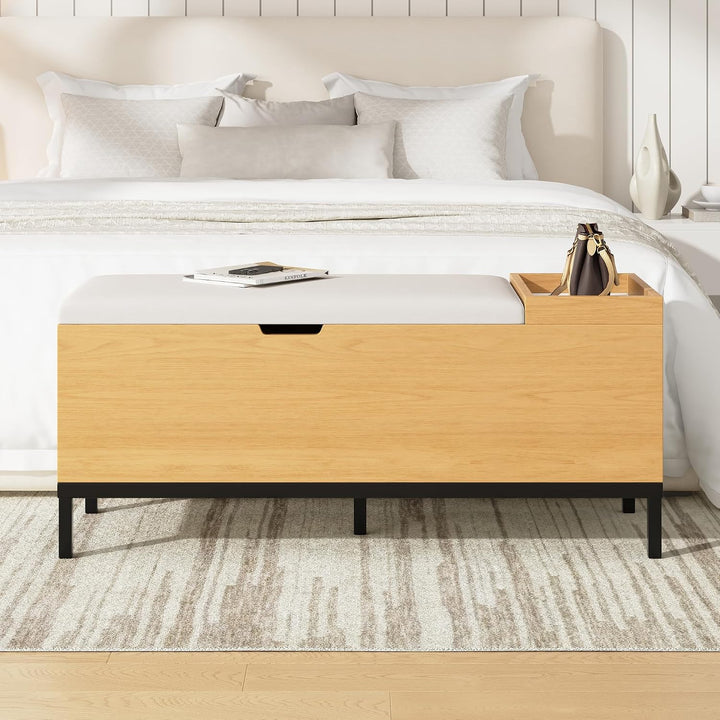 Merax Schuhschrank mit gepolsterter Sitzbank, Schuhbank mit Sitzfläch, mit Stauraum, Klappdeckel und