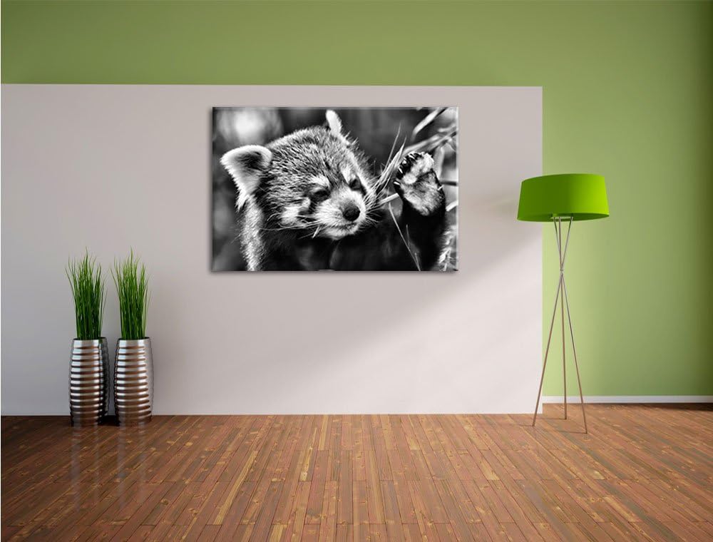 Pixxprint Kleiner Panda SAGT Hallo / 100x70cm Leinwandbild bespannt auf Holzrahmen/Wandbild Kunstdru