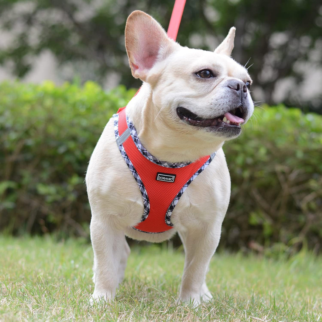 DORAMIO Hundegeschirr Kleine Hunde mit Leine, Step-in Geschirr Reflektierend Atmungsaktiv Brustgesch