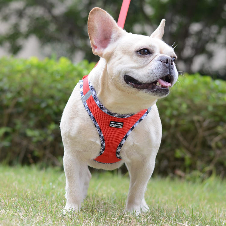 DORAMIO Hundegeschirr Kleine Hunde mit Leine, Step-in Geschirr Reflektierend Atmungsaktiv Brustgesch