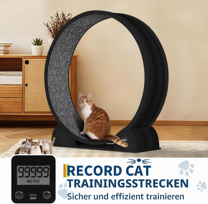Katzenlaufrad, 114cm Laufrad mit Schrittzähler &amp; Kratzbrett für Indoor-Katze, Super Leise Laufband m