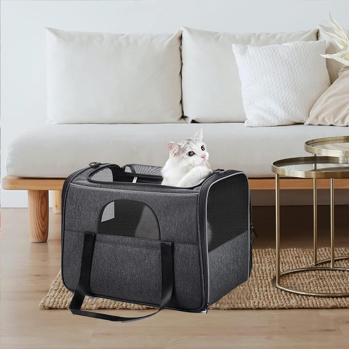 Hundetasche katzentasche Transportbox mit Katze-Tragetasche Airline genehmigt für mittlere, kleine H