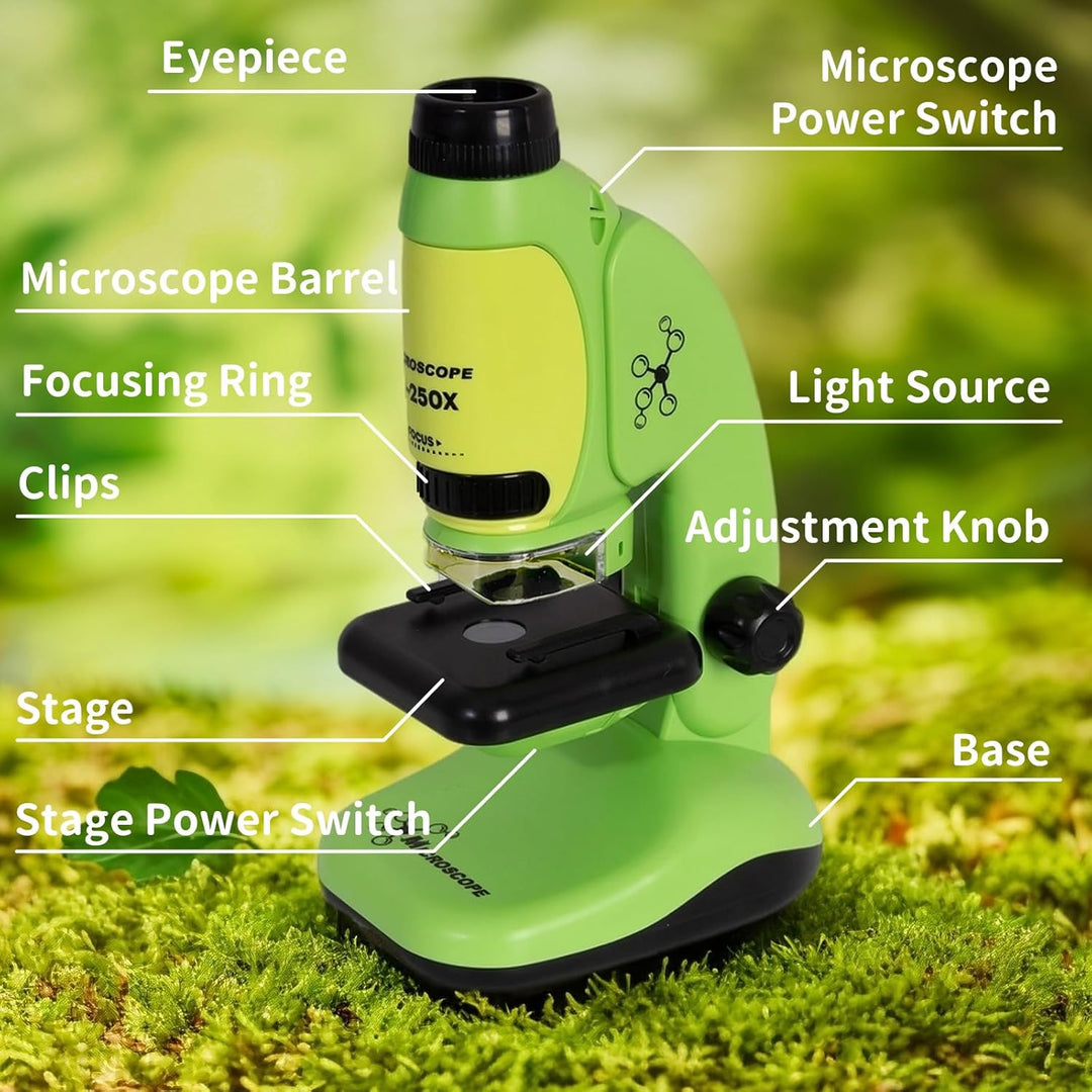 Todeco Mikroskop für Kinder, 50x-250x Taschenmikroskop, Benchtop Handmikroskop 2-in-1 mit Einstellba
