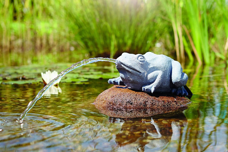 OASE 36774 Wasserspeier Frosch | Teichfigur | Dekoration | Wasserstrahl | Sauerstoff |