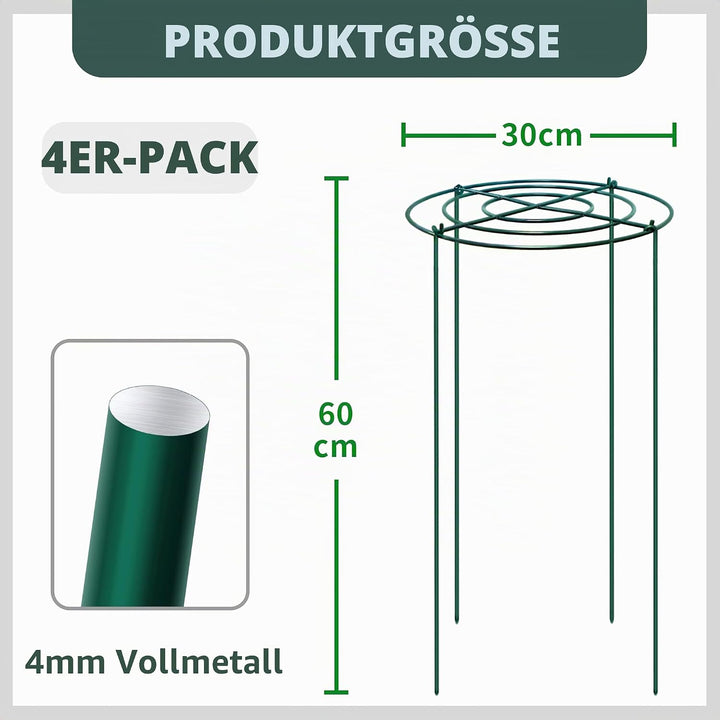 4 Stück Pfingstrosen Halterung/Pflanzringe Rund (30cm Ø x 60cm H) – Stabile Grüne Metall-Staudenhalt