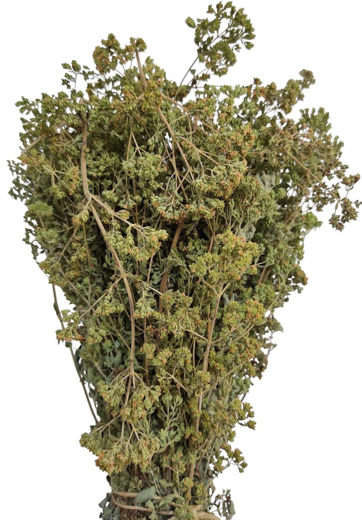Zertifiziertes Bio Griechisches Getrocknetes Berg Oregano Bündel 85g - 1,95kg Origanum Vulgare (950