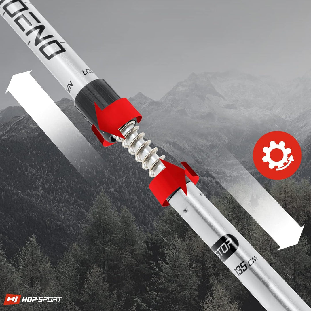 Hop-Sport Trekkingstöcke HS-0135TP Nordic Walking Wanderstöcke Set Anti Schock Teleskop Silber, Silb