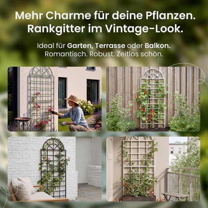 CLP 2er Set Wand-Rankgitter Viva mit Rahmen I Rankgitter aus Eisen zur Wandbefestigung I erhältlich,