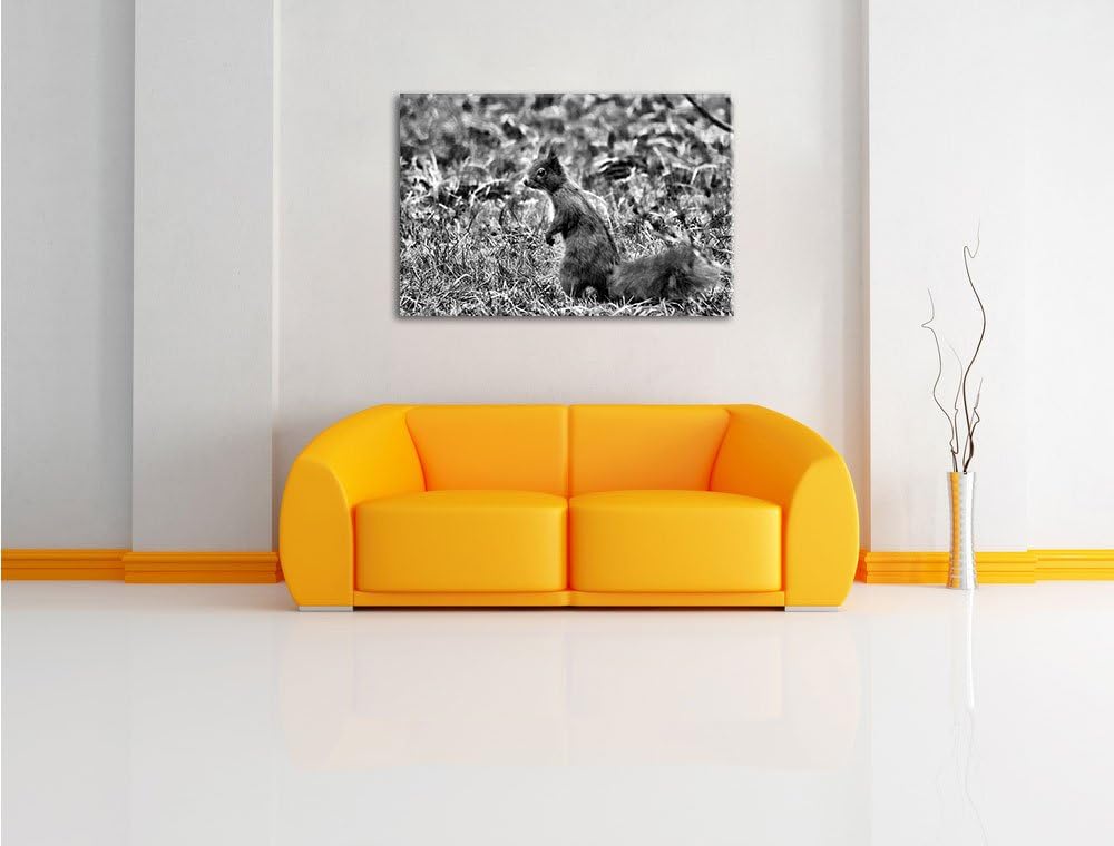 Pixxprint Eichhörnchen auf Boden als Leinwandbild/Grösse: 100x70 / Wandbild/Kunstdruck/fertig bespan