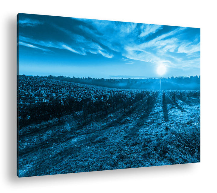 Traubenfeld in der Toskana Format 60x40 Effekt: Monocrome Blau als Leinwandbild, Motiv fertig gerahm