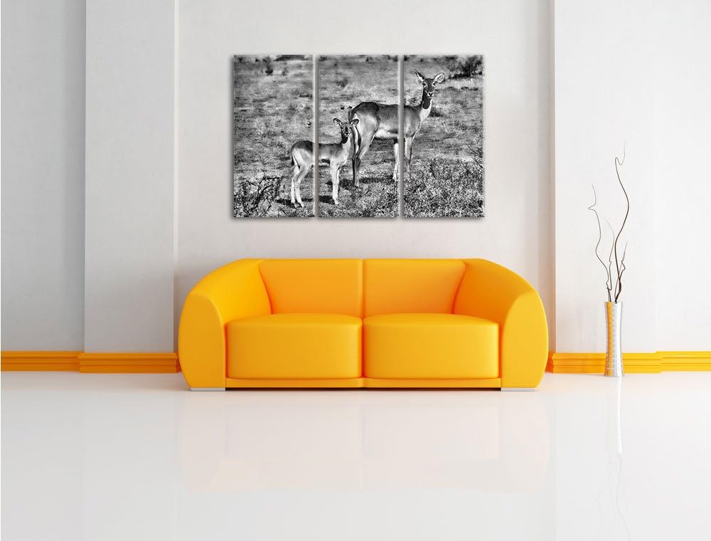 Pixxprint Indische Gazelle mit Jungtier als Leinwandbild/Grösse: 3 Teilig (120x80 cm) cm/Wandbild/Ku