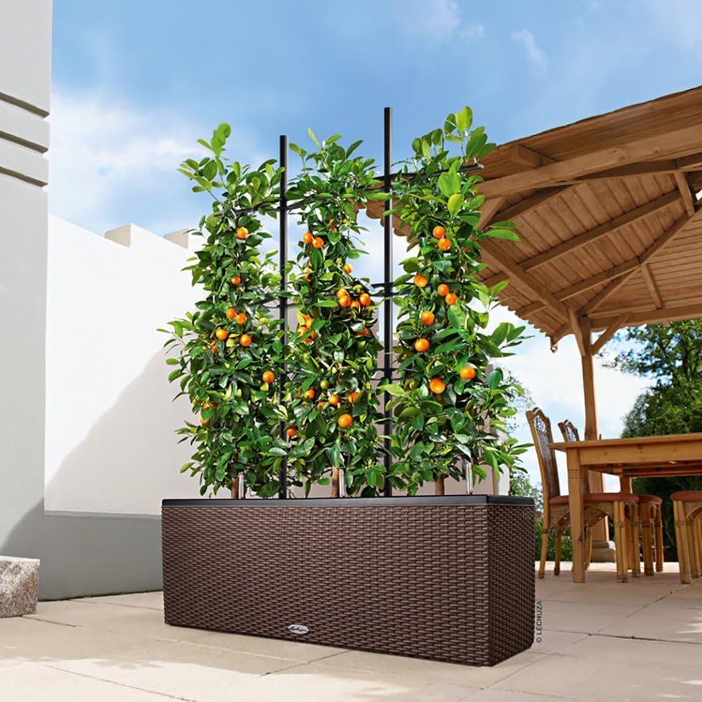 Lechuza Trio Cottage 30 Pflanzgefäss mit ERD-Bewässerungs-System, Granit, 100 x 32 x 34 cm & Trio Co