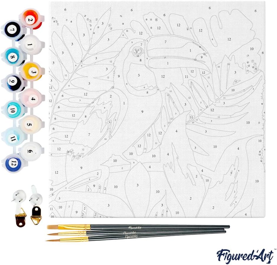 Figured'Art Mini Malen Nach Zahlen Erwachsene Mit Rahmen 20x20cm Kleines Format - Tropischer Tukan -
