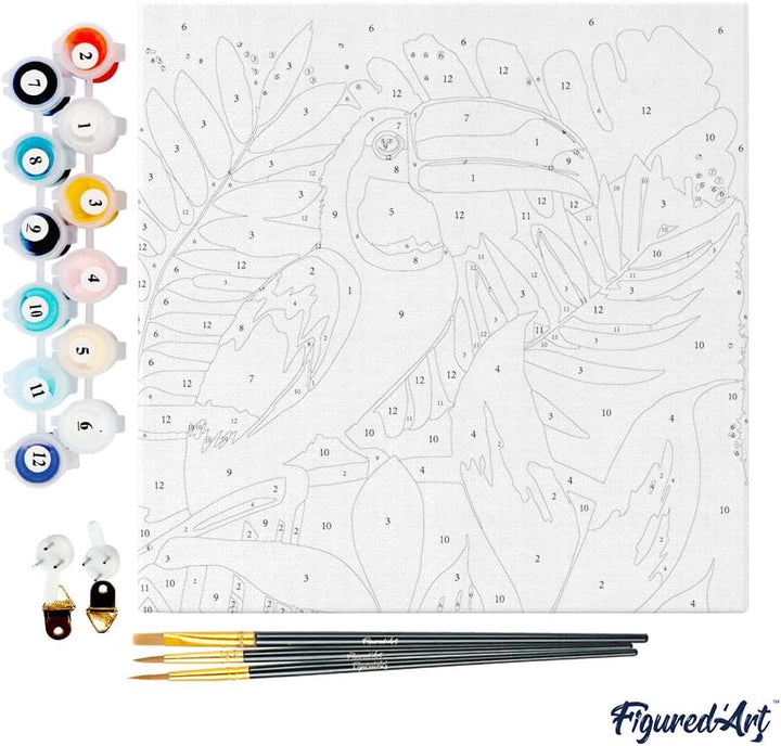 Figured'Art Mini Malen Nach Zahlen Erwachsene Mit Rahmen 20x20cm Kleines Format - Tropischer Tukan -