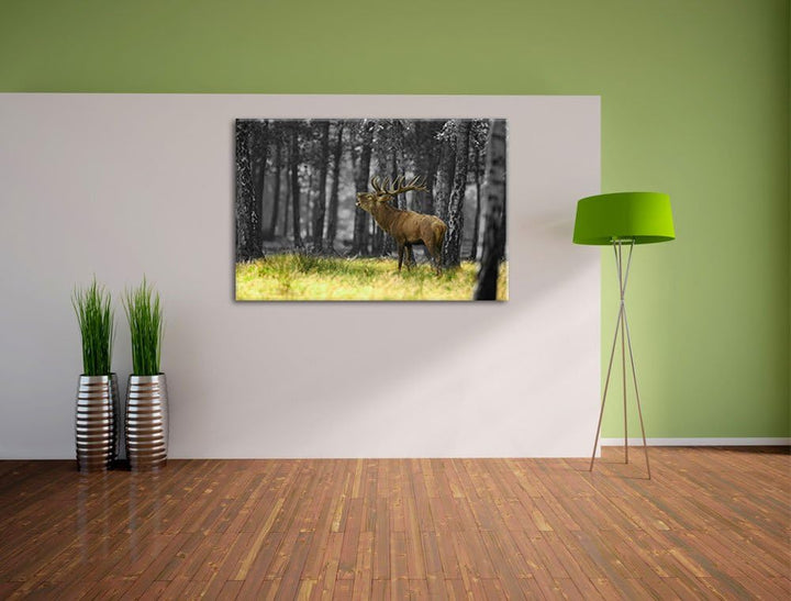 röhrender Hirsch im Wald schwarz/weiss Format: 100x70 auf Leinwand, XXL riesige Bilder fertig gerahm