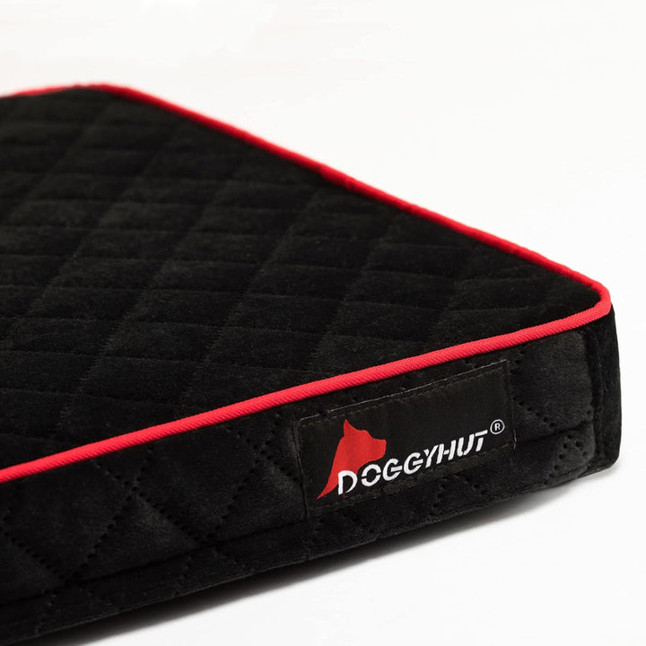 Doggyhut Original Large Fahrradanhänger &amp; Hundebuggy 2 in 1 für Hunden bis 35kg Hundeanhänger Jogger