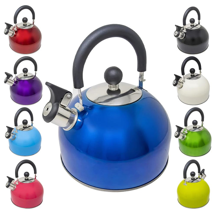 Leichter Wasserkessel mit Pfeiffe aus rostfreiem Edelstahl, Wasserkocher für Camping und Angeln, 2,5