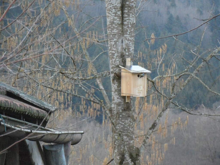 Premium Natur Lärchenholz Nistkasten unbehandelt nach Nabu, massives Vogelhaus Nisthilfe wetterfest